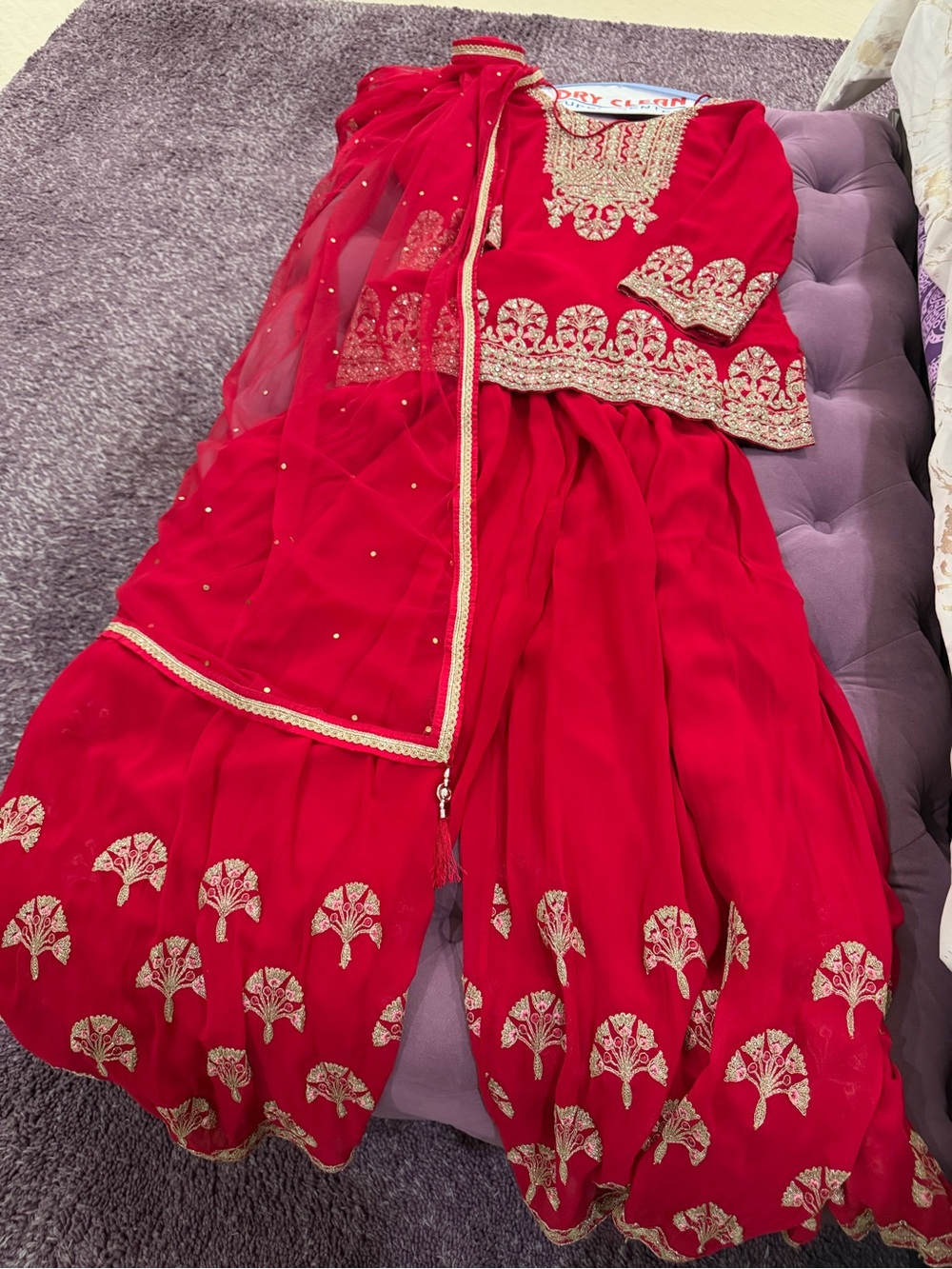 Beautiful sharara suit